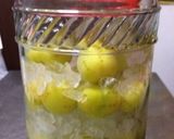 ウォッカを使った梅酒作り方4写真