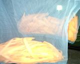 保存食☆人参作り方3写真