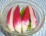 パパの西洋ハツカ大根漬け作り方6写真