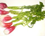 パパの西洋ハツカ大根漬け作り方5写真