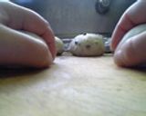 薄力粉に強力粉を混ぜ込んだらどうなるのさ作り方3写真