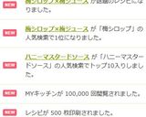 梅シロップ×梅ジュース作り方16写真