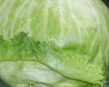 レタスを丸々1個食べちゃえ！塩昆布和えだ作り方5写真