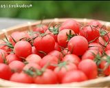 ひんやり～♬トマトのシロップ漬け作り方1写真