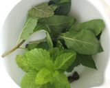 レモンバームとミント入りのジャスミン茶作り方3写真