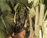 小松菜☆にんにく炒め作り方1写真
