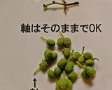 正しい山椒の実の下ごしらえと保存方法作り方6写真