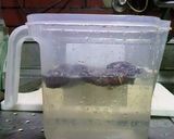 もっとウマくなる!そうめんつゆ作り方1写真
