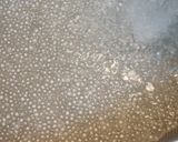 タピオカココナツミルク☆フルーツ＆ナッツ作り方2写真