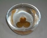 鶏手羽元の塩ラーメン作り方1写真