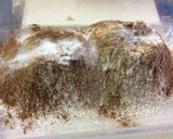 具沢山の簡単フルーツケーキ作り方1写真