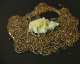 スナップえんどうのクミン炒め（直炒め）作り方3写真