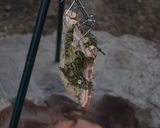 豚ばら肉のあぶり焼き作り方2写真