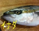 ブリ、イナダを簡単漬けで美味しく作り方1写真