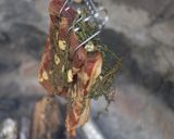 豚ばら肉のあぶり焼き作り方4写真