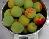 今年も何とか・・・南高梅の手作り梅酒♪作り方6写真