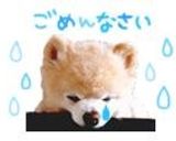 スイチリマヨで簡単♡エビチリ作り方7写真