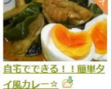 自宅でできる！！簡単タイ風カレー☆作り方10写真