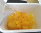 VITACOCO･桃マンゴーシャーベット作り方3写真