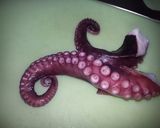 タコで、簡単ぼっかけ作り方4写真