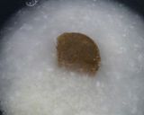 クイックチキンバターカレー作り方4写真