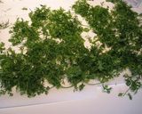 パクチー(香菜)のペースト作り方1写真