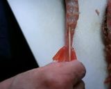 有頭エビの簡単塩焼き（１本９８円ぐらい）作り方5写真