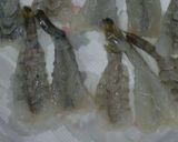 中からたまご～ エビフライ作り方2写真