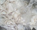 夏だ！豚しゃぶぶっかけ豆乳スタミナうどん作り方7写真