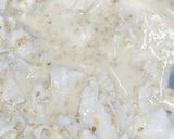 夏だ！豚しゃぶぶっかけ豆乳スタミナうどん作り方8写真