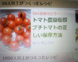 トマト農園伝授プチトマトの正しい保存方法作り方5写真