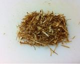 内臓脂肪をやっつけろ！えのき茶作り方3写真