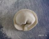 韓国風餃子作り方6写真