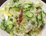 夏のさっぱりキャベツ＆みょうが＆シソ作り方4写真