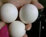 和風☆半熟味玉作り方1写真