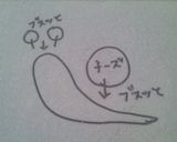 ５分で！簡単♡カタツムリ作り方3写真