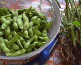 美味しい枝豆の茹で方作り方1写真