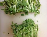 豆苗のマヨ醤油サラダ作り方1写真