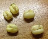 発芽緑豆と野菜の美味しいピラフ：インド発作り方3写真
