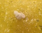 美味しいよ！なす＆はんぺんのはさみ揚げ♪作り方7写真