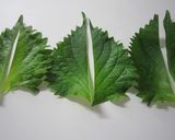✿爽やかな♪ちくわの梅しそロール✿作り方1写真