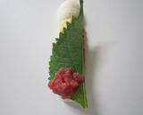✿爽やかな♪ちくわの梅しそロール✿作り方4写真
