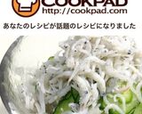 夏の我が家の超定番！しらす胡瓜ポン酢作り方5写真