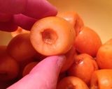 今が旬のビワで、こっくりビワ酒作り方4写真
