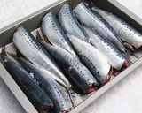 鰯のグリル（ミントソース添え）作り方1写真