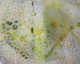簡単☆褒められる♪冷たいなすのレンジ蒸し作り方3写真