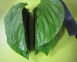 簡単に♪えごまの葉の醤油漬け作り方3写真