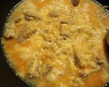 黄金のダシ〜卵も鶏肉も大喜び　絶品親子丼作り方6写真