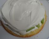 メロンたっぷり6月のバースデーケーキ作り方14写真