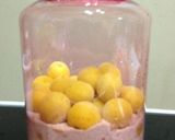梅シロップ〜濃厚〜（≧∇≦）作り方4写真